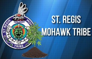 st regis tribe on cannabis licenses