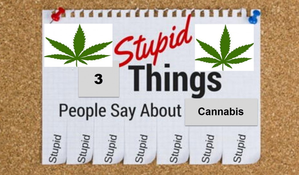 STUPID THINGS SAID ABOUT WEED