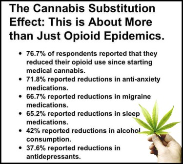 cannabis subsitution effect