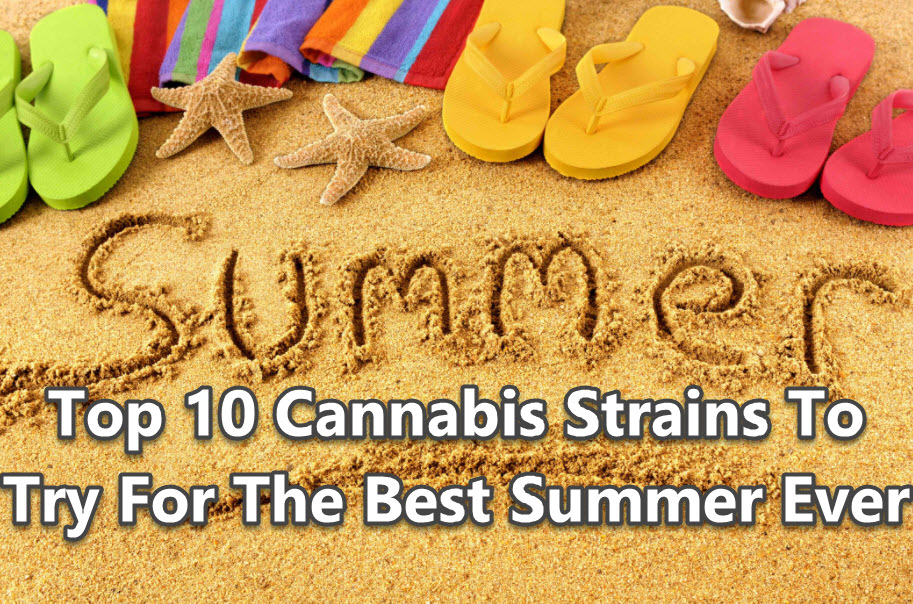 SUMMERTIME STRAINS OF MARJIUANA