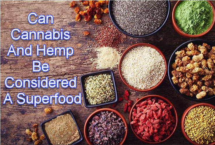 CANNABIS HEMP SUPERFOOD