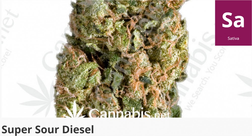 super sour diesel strain