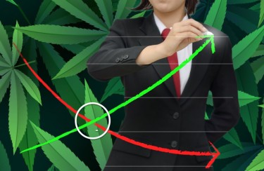 supply demand curves cannabis