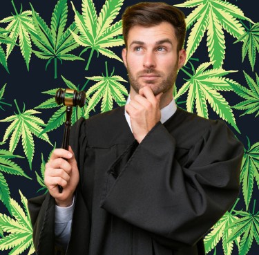 court appeal to legalize cannabis in america