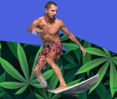 surfing and cannabis 