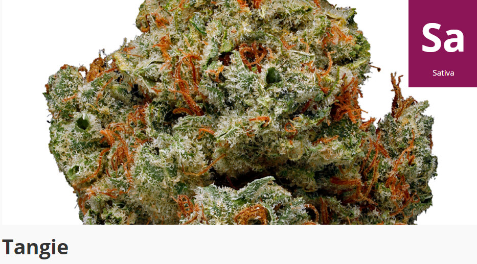 The Top 10 Best Tasting Cannabis Strains