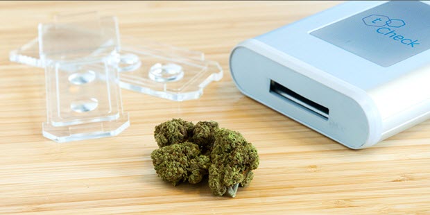 HOW POTENT IS YOUR CANNABIS TEST