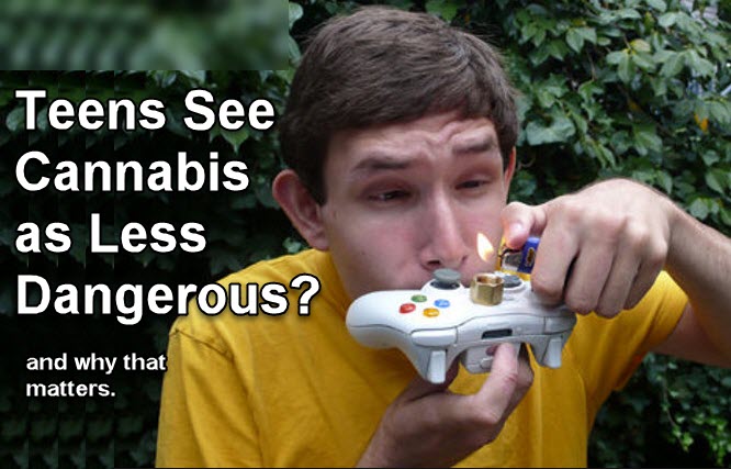 TEENS SEE CANNABIS AS LESS DANGEROUS