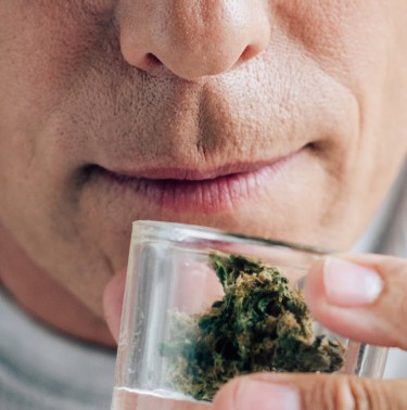 can you tell your weed strain by smell