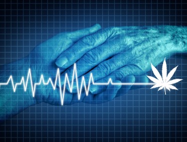 medical marijuana for the terminally ill