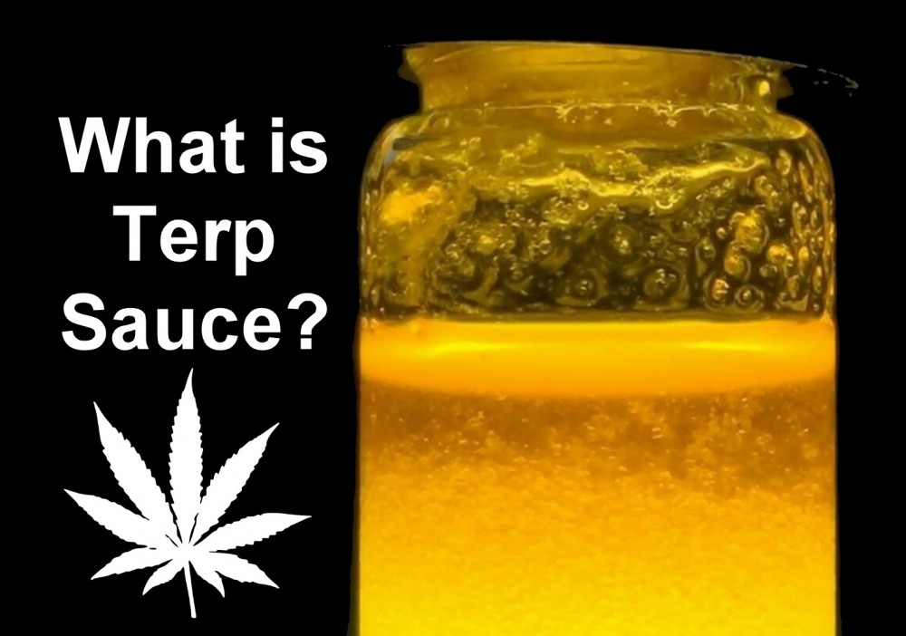 WHAT IS TERP ROSIN SAUCE