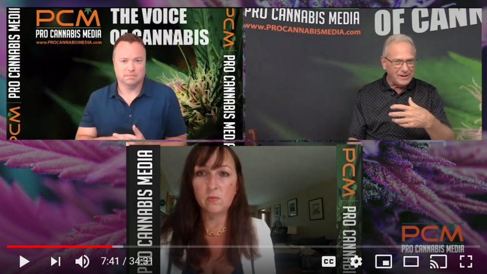 teri buhle on high times cannabis law reports