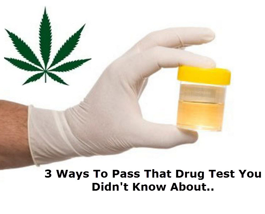 HOW TO PASS A DRUG TEST WITH CANNABIS