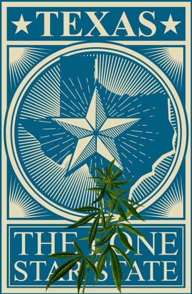 texas vote on sb3