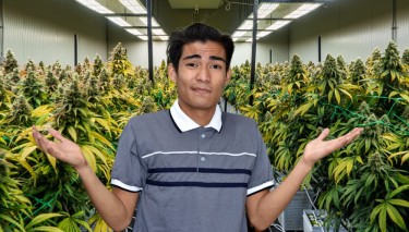 thailand to keep marijuana legal now