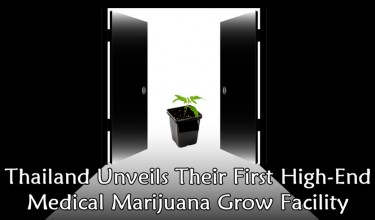 Thailand grow facilities for marijuana