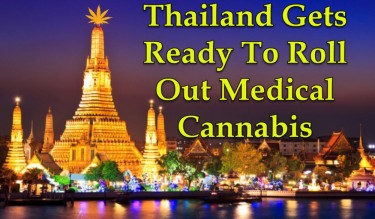 THAILAND LEGALISERER MEDICINSK MARIJUANA