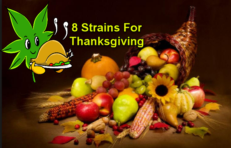 MARIJUANA STRAINS FOR THANKSGIVING