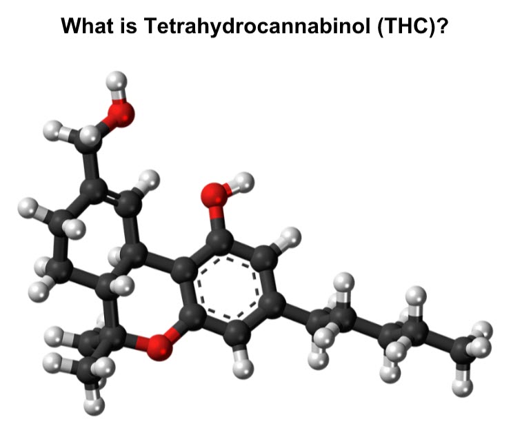 thc molecule