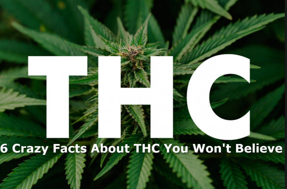 THC FACTS TO KNOW