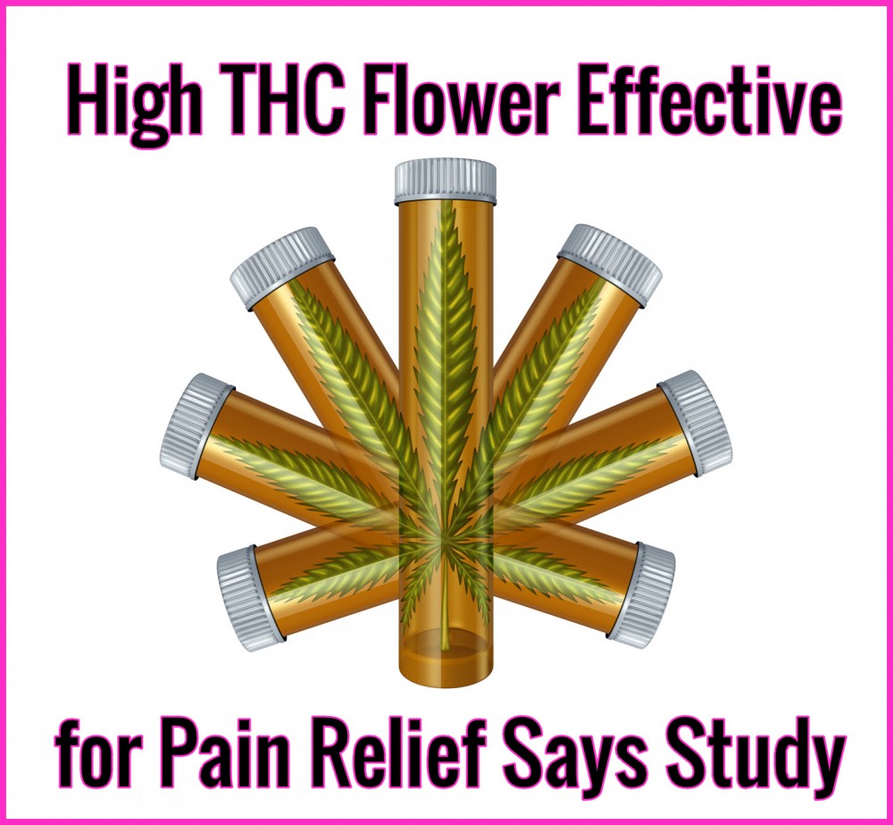 THC FLOWER FOR PAIN RELIEF