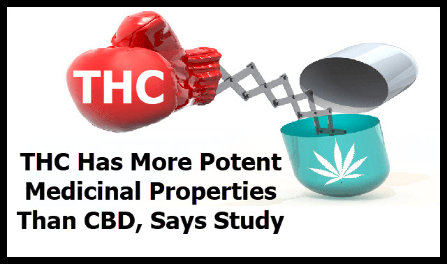 thc as medicine over cbd