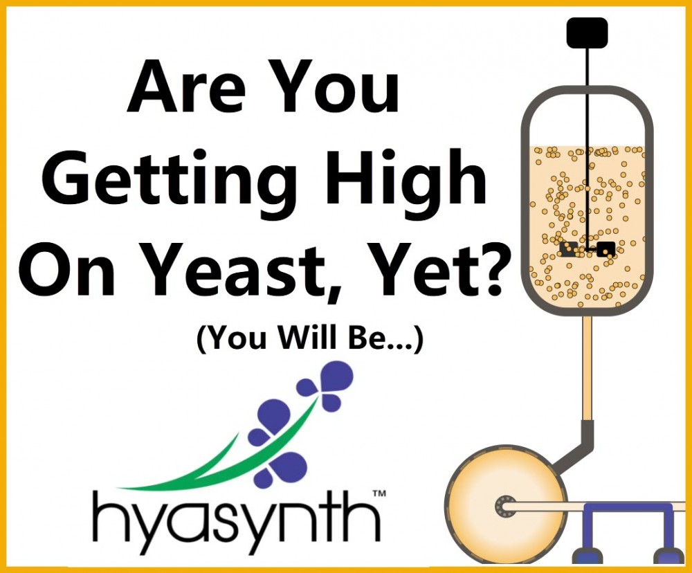 ARE YOU GETTING HIGH ON YEAST