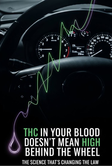 thc in the blood while driving