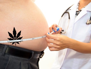 CAN  CANNABIS HELP WITH THE DAD BOD