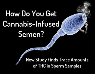 DOES THC SHOW UP IN SPERM