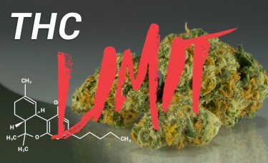 thc limits and restrictions