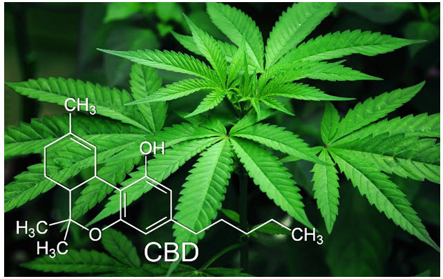what is cbd and its benefits
