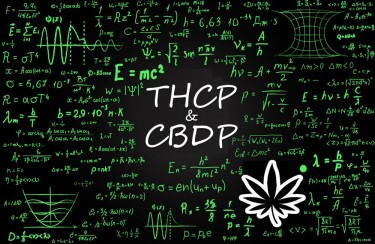 THCP AND CBDP DISCOVERED