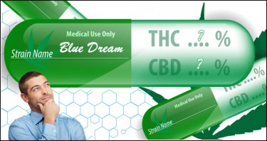 The Perfect CBD to THC Ratio? New Study Says 1 to 1 is the Best Ratio ...