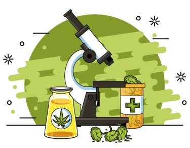 thcv cannabinoids