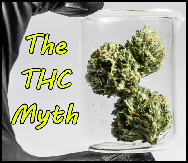  the thc myth how consumers will buy cannabis in the future