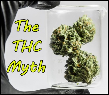 HIGHER THC MARKETING MYTH