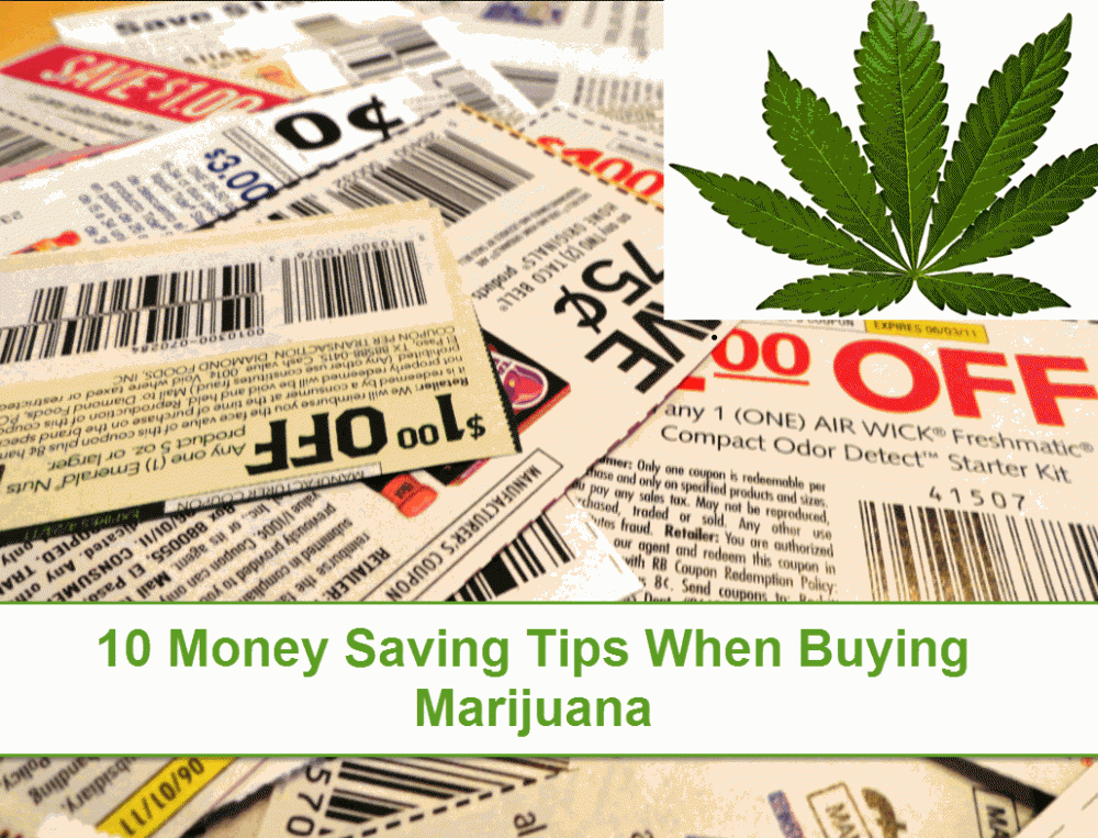 TIPS FOR BUYING CANNABIS ON A BUDGET