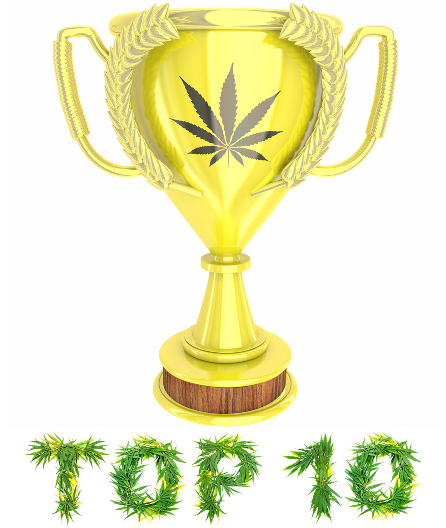 TOP 10 CANNABIS SATIVA STRAINS