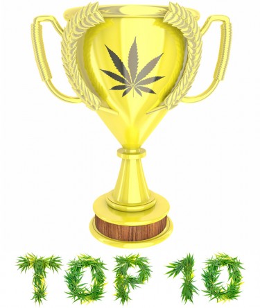 THE TOP SATIVA STRAINS OF 2020