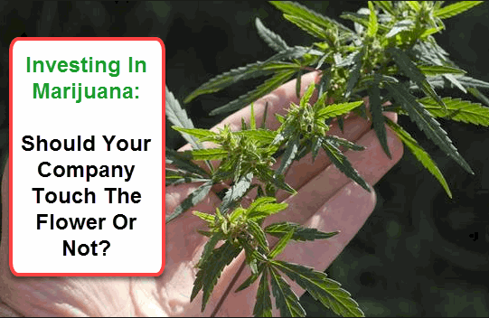 CANNABIS INVESTING TOUCH THE FLOWER OR NOT