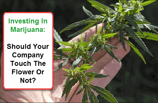 MARIJUANA INVESTING TO TOUCH THE FLOWER OR NO TOUCH