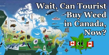CANADIAN CANANBIS SALES