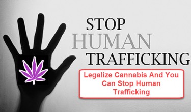 HUMAN TRAFFICING LEGALIZE CANNABIS