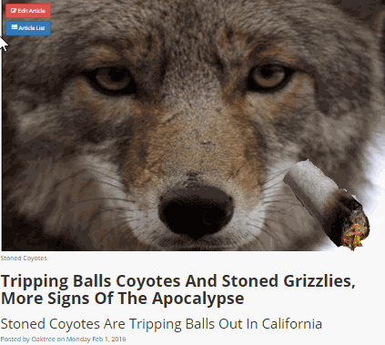 animals that are stoned