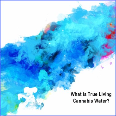 TRUE LIVING CANNABIS WATER