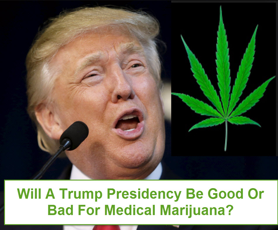 WILL A TRUMP PRESIDENCY KILL MARIJUANA