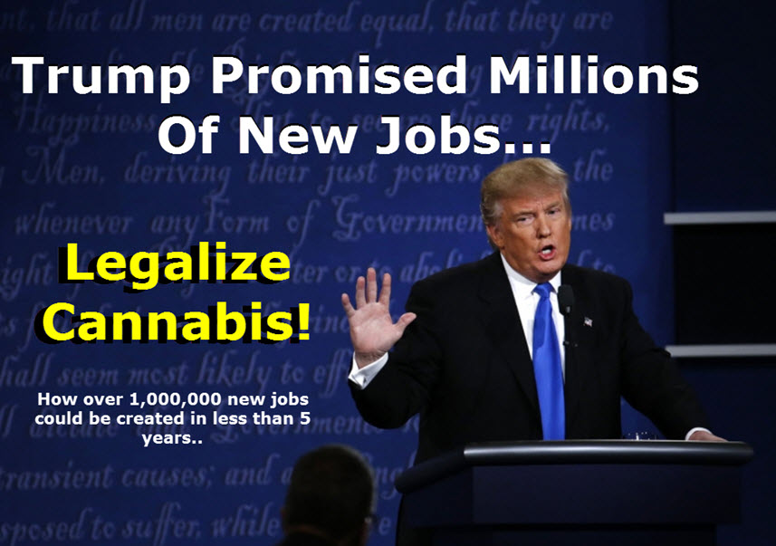 TRUMP ON JOBS IN AMERICA LEGALIZE CANNABIS