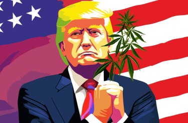 trump on marijuana reform