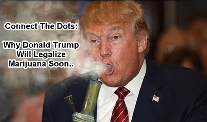 TRUMP ON MARIJUANA